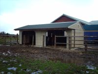 24 x 12 Field Shelter with 2 openings. 2 x Rear top doors were included to allow hay to be fed easily. 